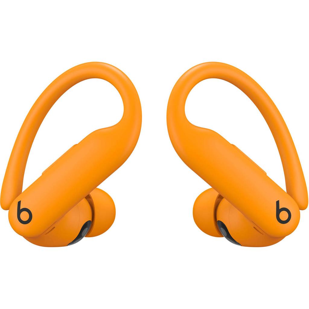 Beats By Dr. Dre Powerbeats Pro 2 MX743LL/A Earbud Noise