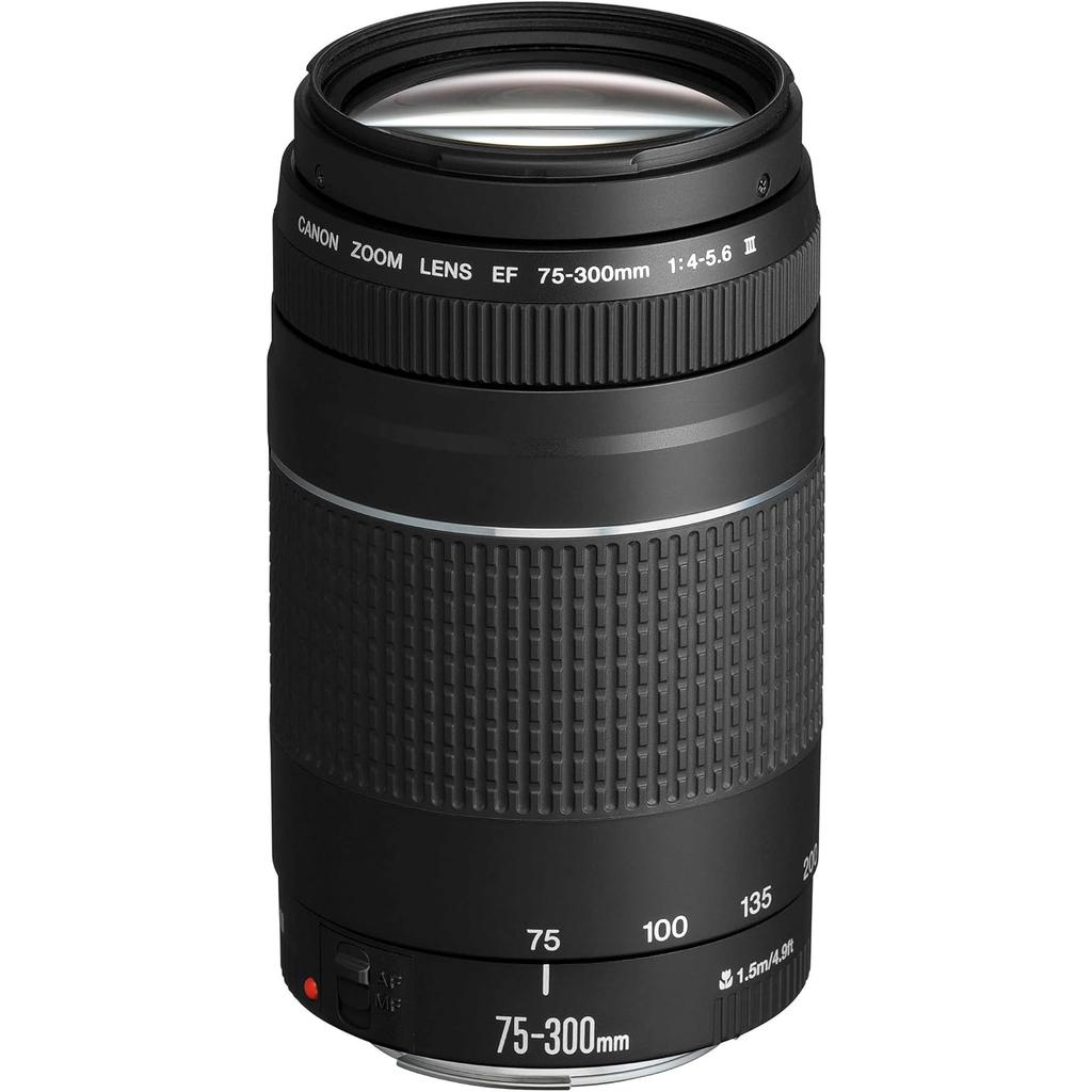 Objectif Canon 75-300 Mm F/4-5.6 III Canon Ef 75-300Mm F/4-5.6