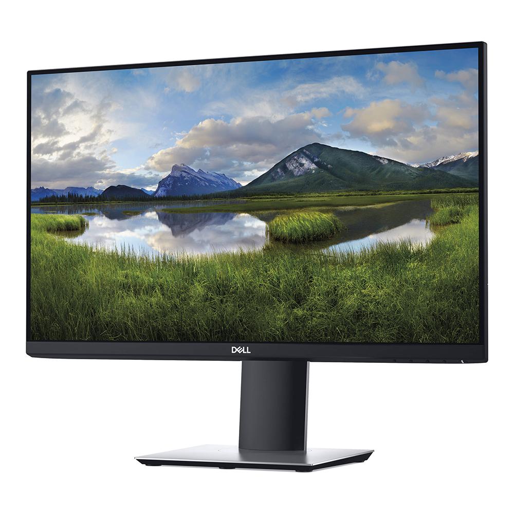 Écran 23" LCD Dell P2419H