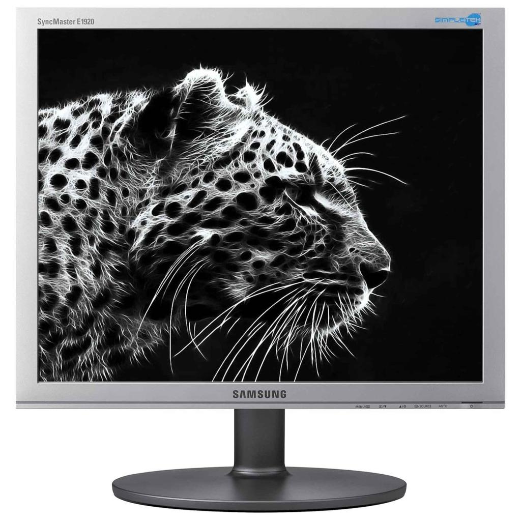 Écran 19" LCD Hd Samsung Syncmaster E1920Nr