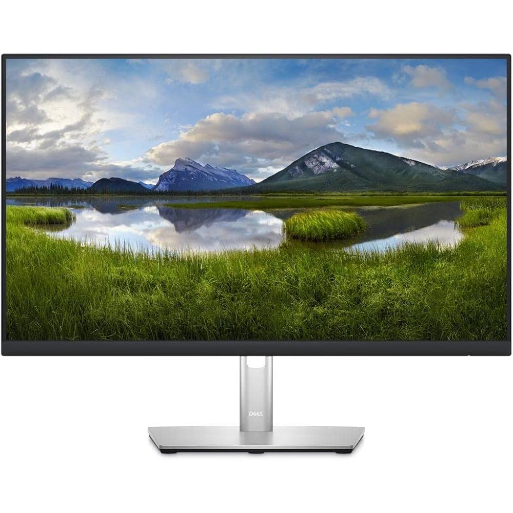 Écran 23" LCD Dell P2423Dc