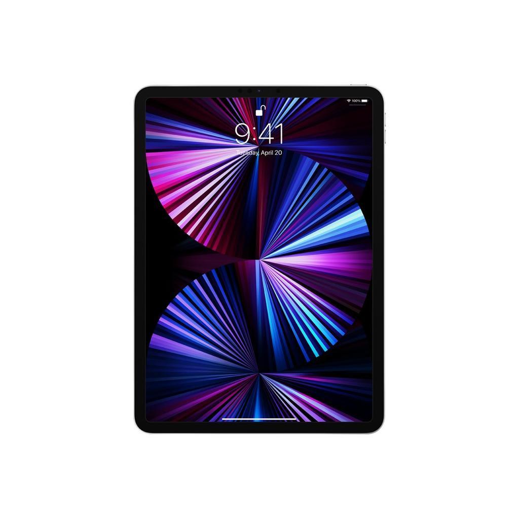 iPad Pro 11-inches (2021) 3rd gen 2000 GB - Wi-Fi - Silver | Back