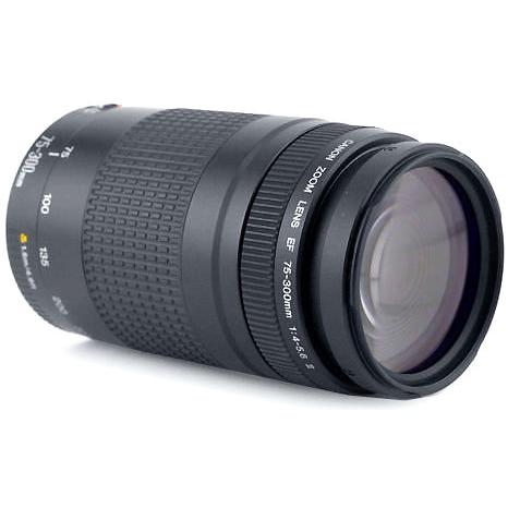 Objectif Canon Ef 75-300Mm F/4-5.6 Ii Canon Ef 75-300Mm F/4-5.6