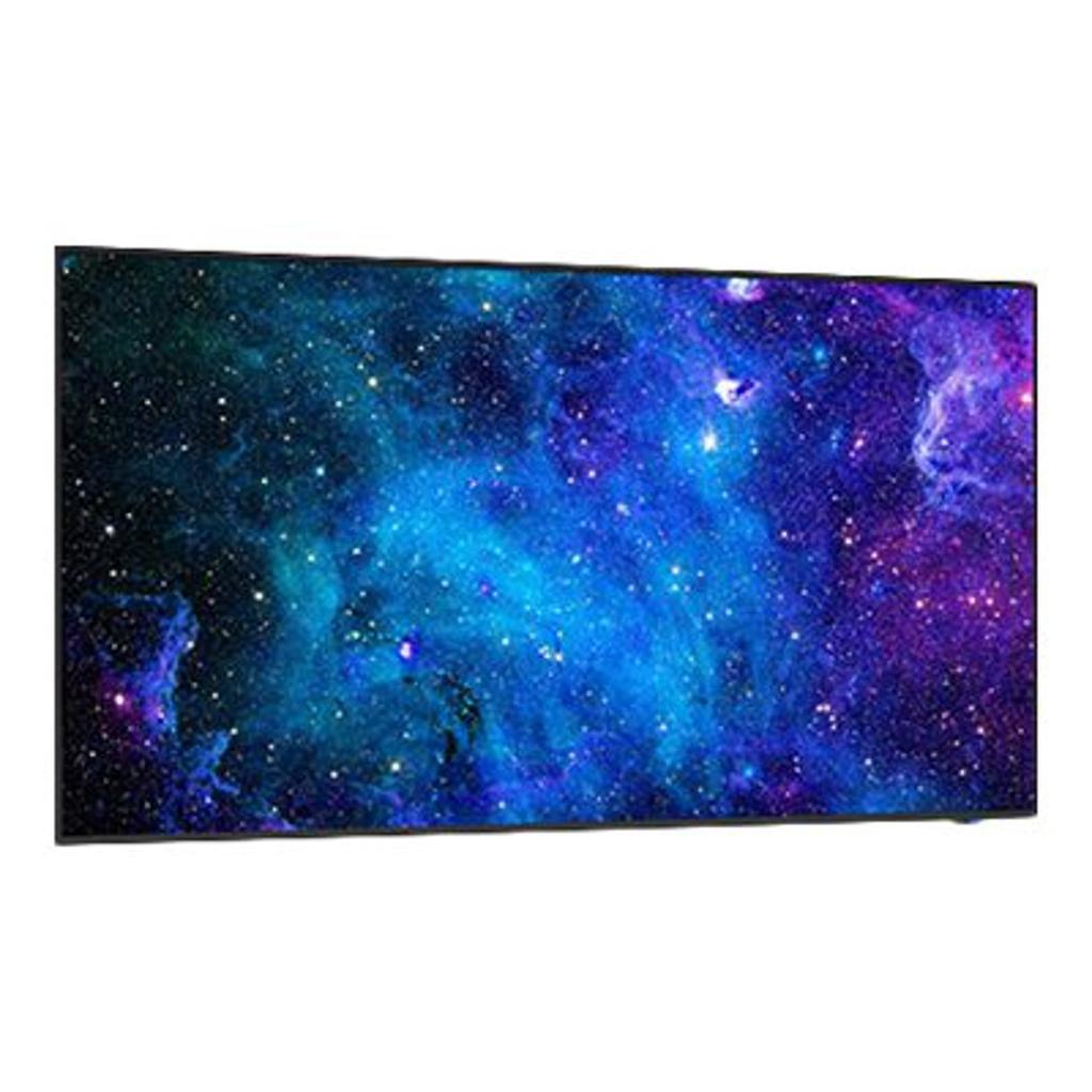 Écran 49" LCD Nec E498 E Series Back Market