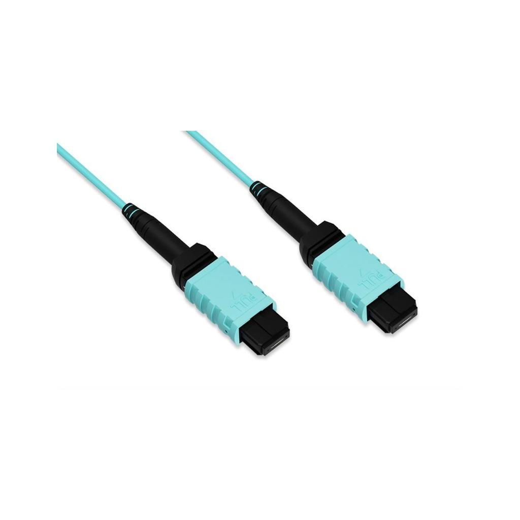 nippon-labs-30fp-12mpo-4bf-tv-accessories-back-market
