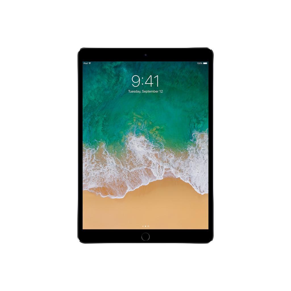 iPad Pro 10.5 インチ (2017) 第1世代 512 GB - Wi-Fi + 4G - スペース