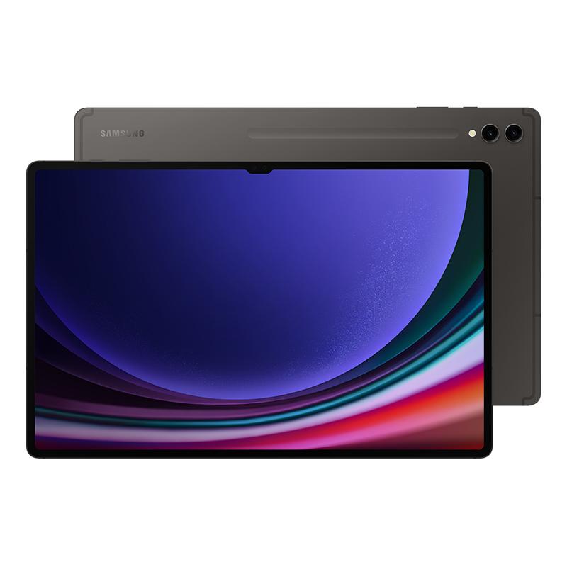 Galaxy Tab S9 256GB - Grau - WLAN + 5G