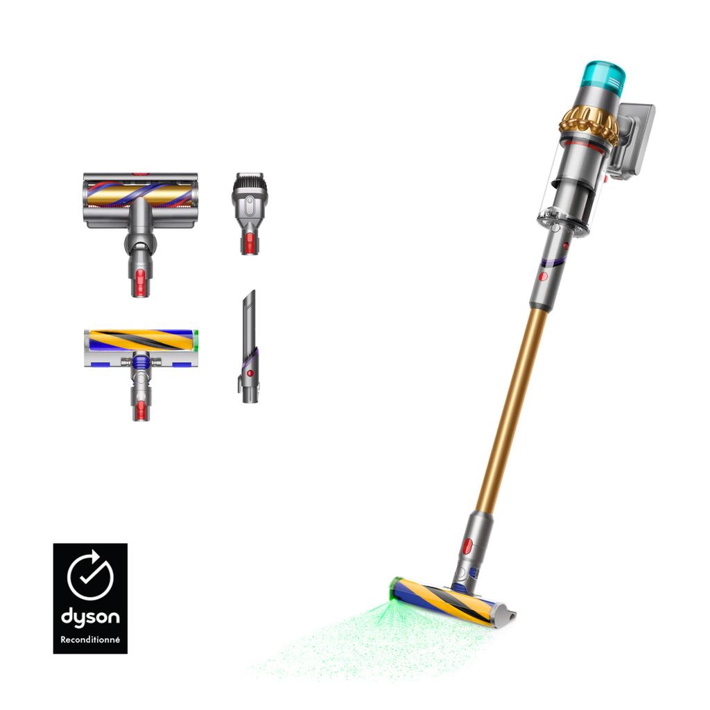 Dyson™ V15 Detect - Doré