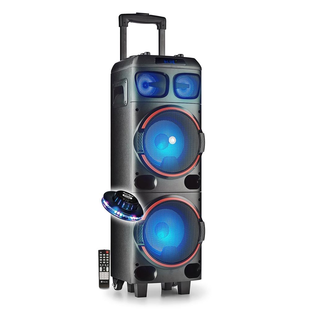 Enceinte Ngs Wilddub1