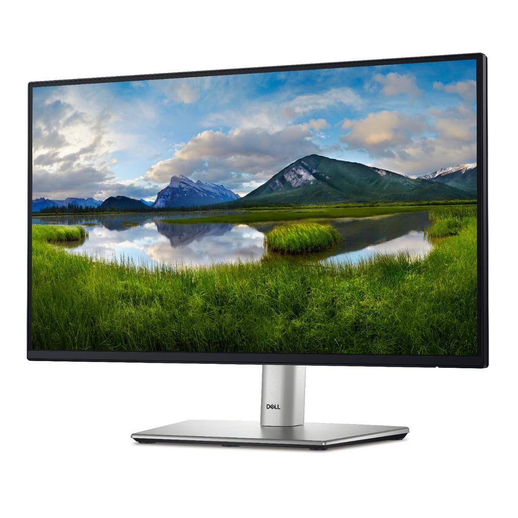 Écran 24" LCD Dell P2425Hc