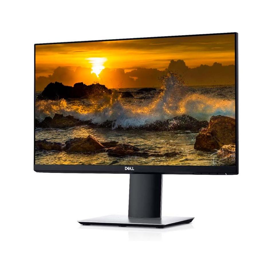 Écran 21" LCD Dell P2219Hb