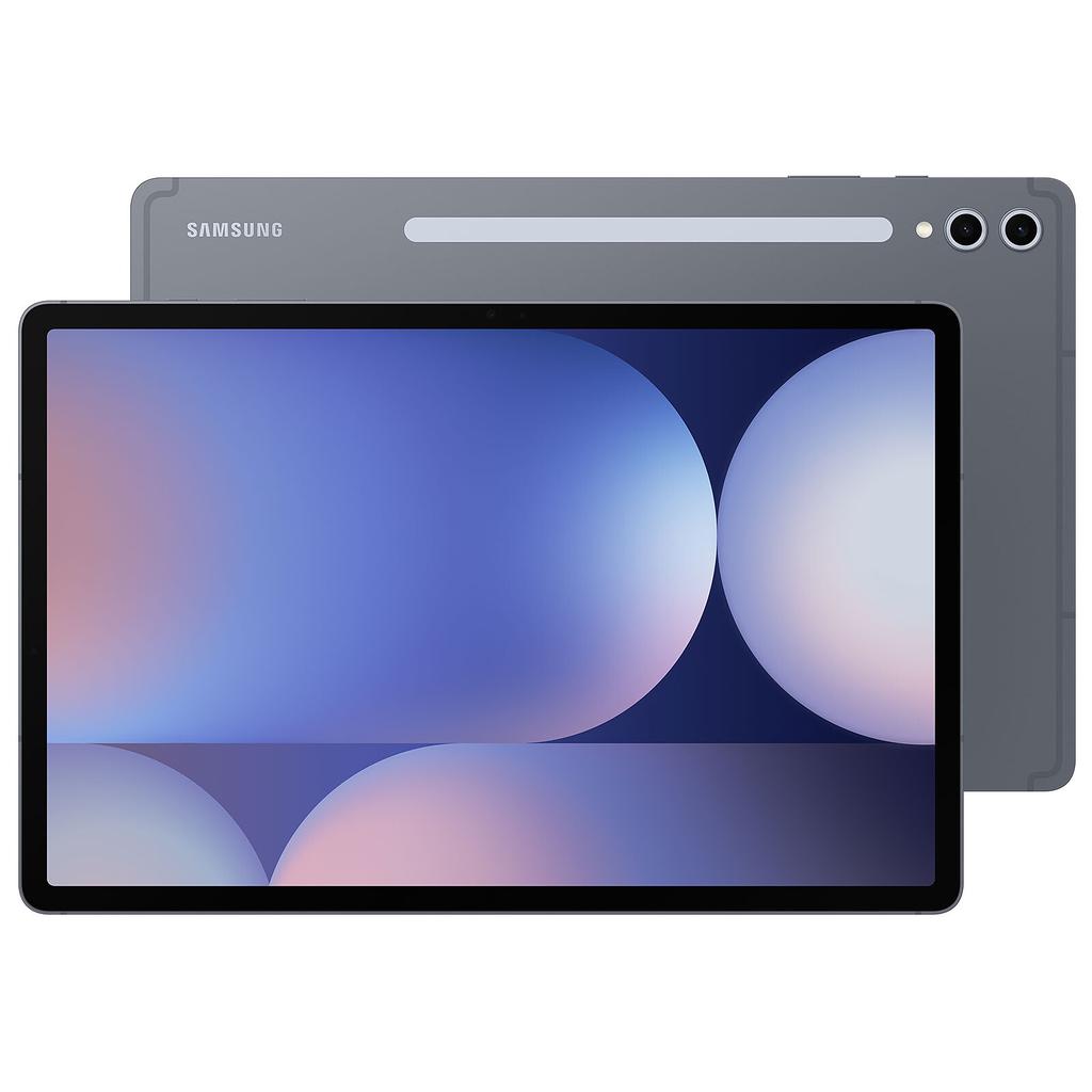 Galaxy Tab S10+ 256GB - Grau - WLAN