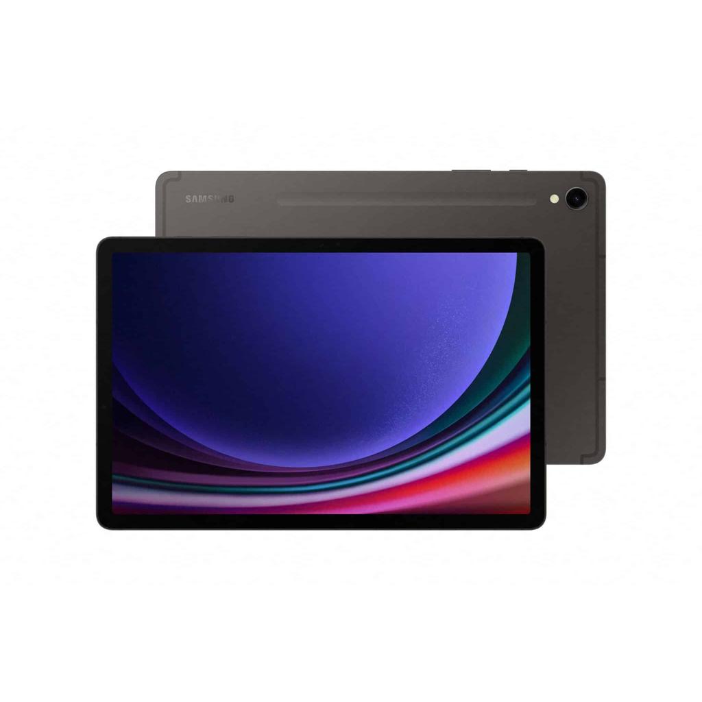 Galaxy Tab S9 Ultra 1000GB - Gray - (Wi-Fi)