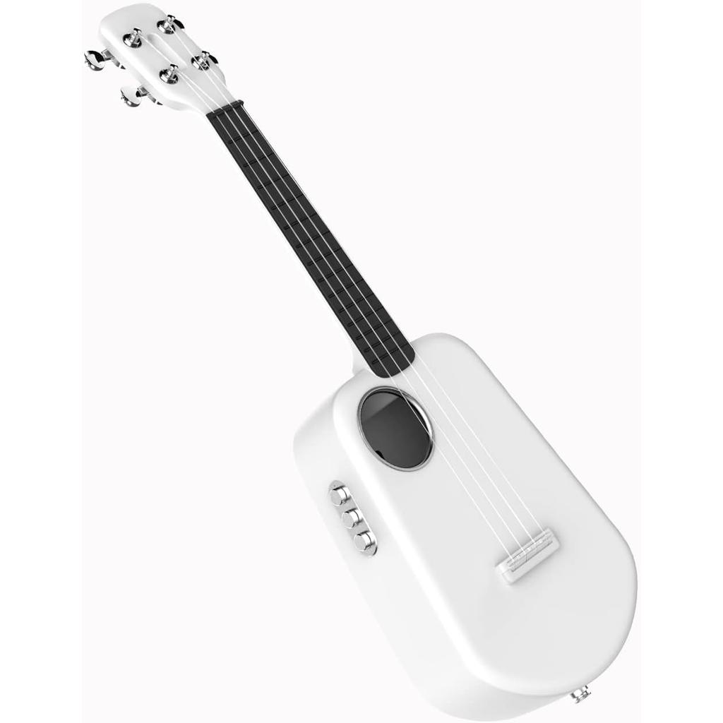 Instruments De Musique Populele 2 Concert